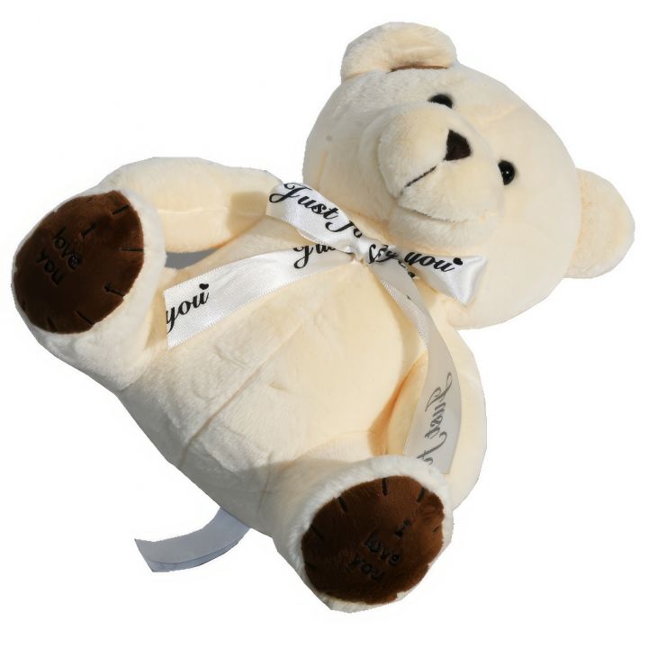 8110-medvidek-teddy-svetle-hnedy-25cm-06.jpg_1 Medvídek Teddy světle hnědý - 25 cm