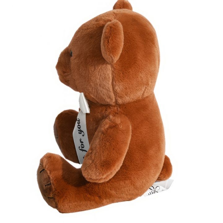 8111-medvidek-teddy-tmave-hnedy-25cm-04.jpg_1 Medvídek Teddy tmavě hnědý - 25 cm