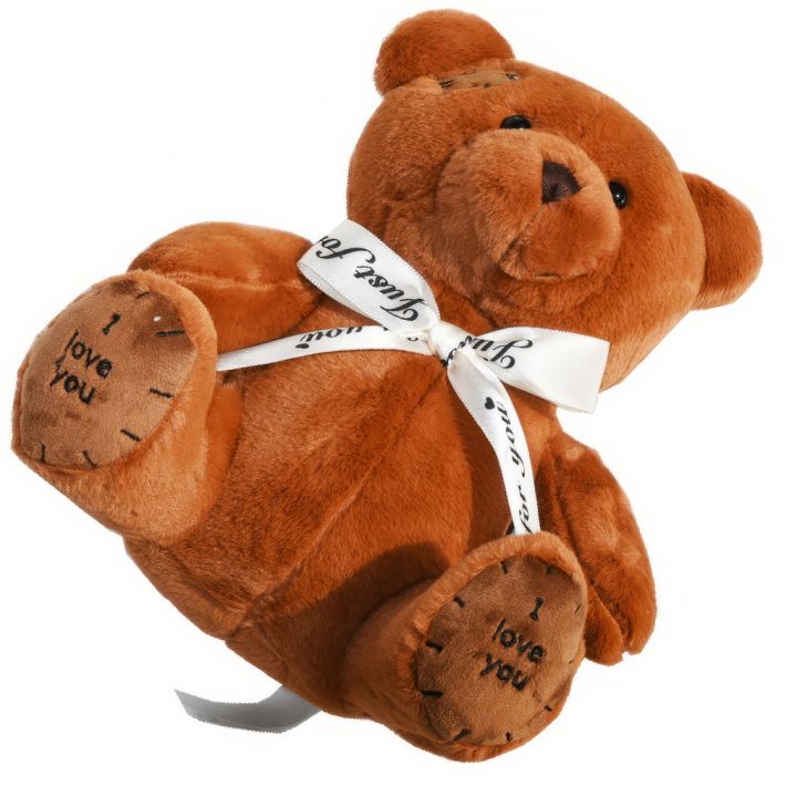 8111-medvidek-teddy-tmave-hnedy-25cm-06.jpg_1 Medvídek Teddy tmavě hnědý - 25 cm