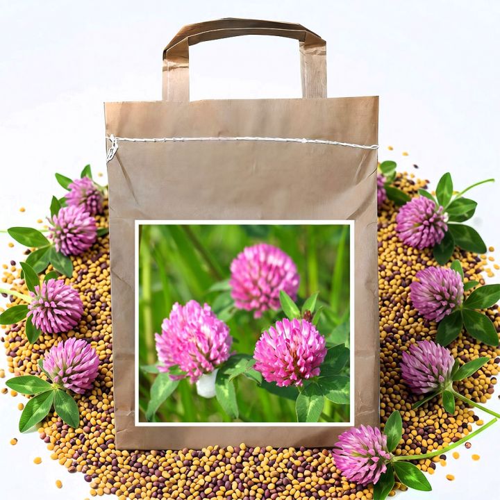 Jetel luční VENDELÍN - 1 kg