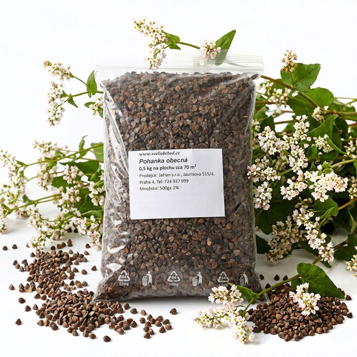 Pohanka obecná - 0,5 kg