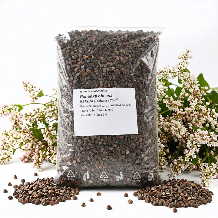 Pohanka obecná - 0,5 kg