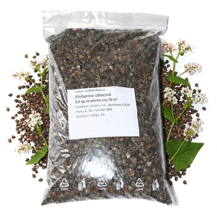 Pohanka obecná - 0,5 kg