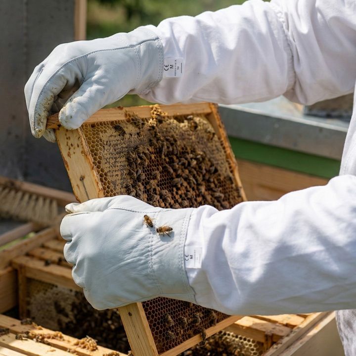 Rukavice včelařské - kozinka - vel.: S-XXL