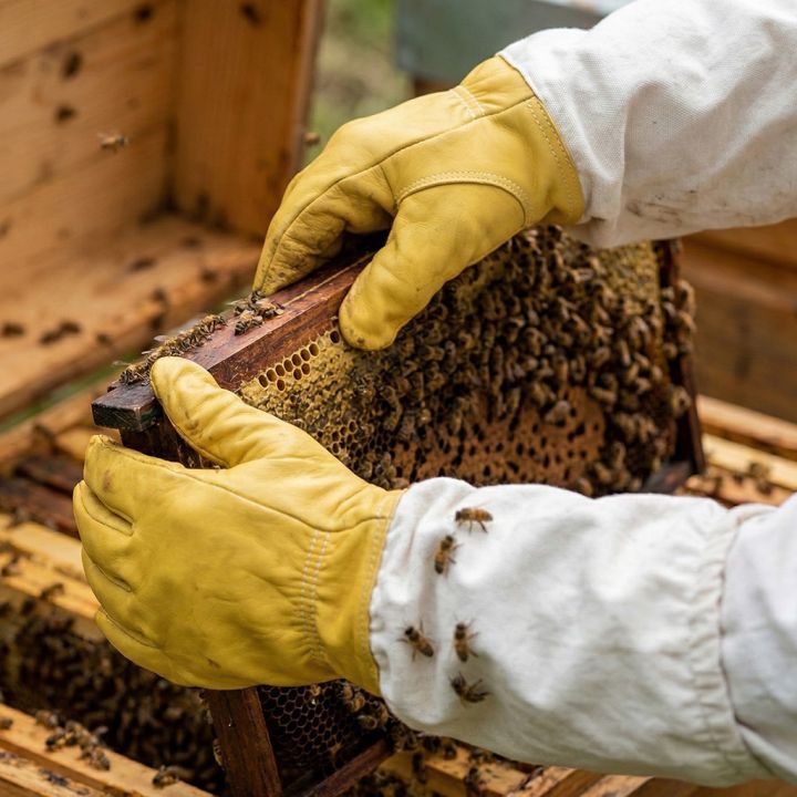 Rukavice včelařské - impregnované - vel.: S-XXL