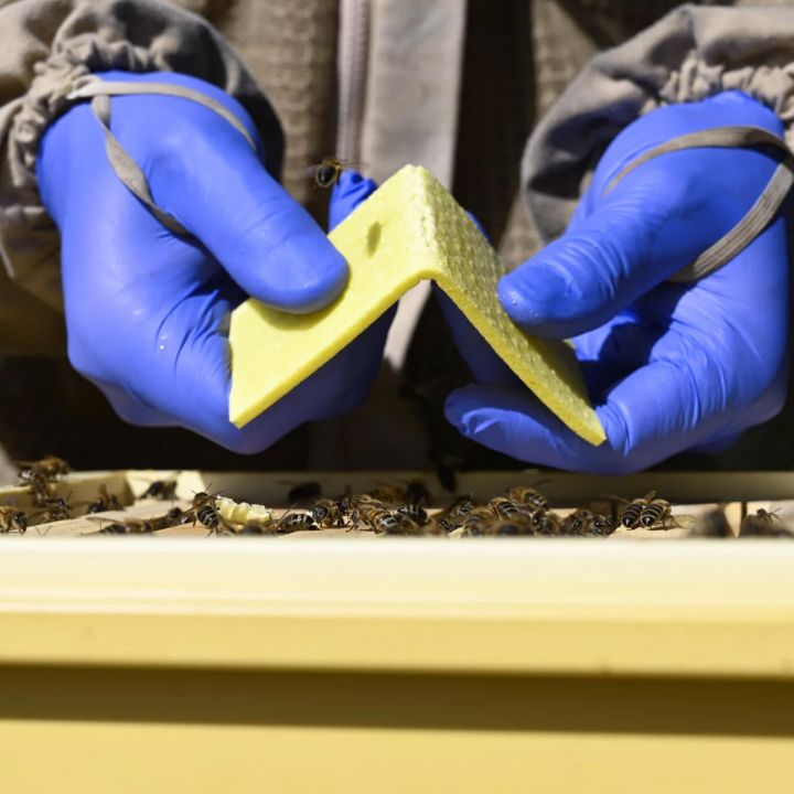 thymovar-prouzky-2-x-5-ks-04.jpg_1 THYMOVAR proužky 2 x 5 ks