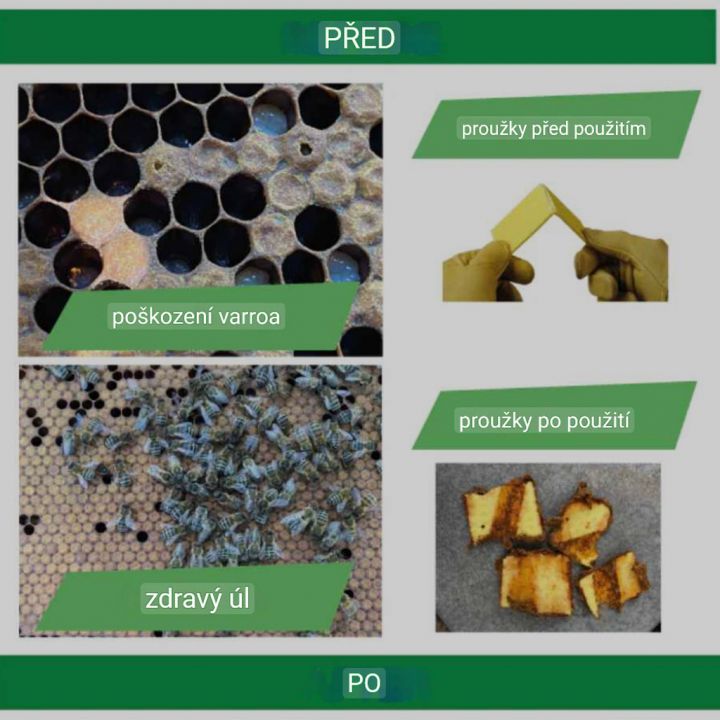 thymovar-prouzky-2-x-5-ks-095.jpg_1 THYMOVAR proužky 2 x 5 ks - DOTOVÁNO