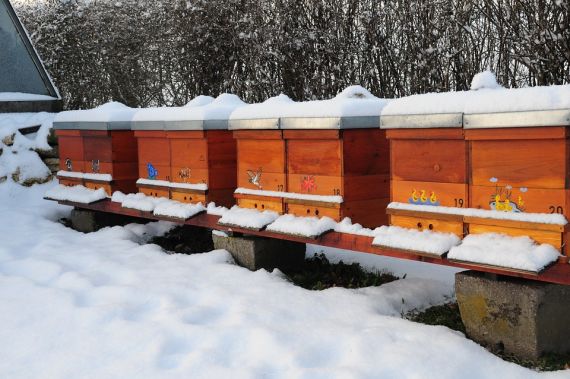 Včelí úly v zimě