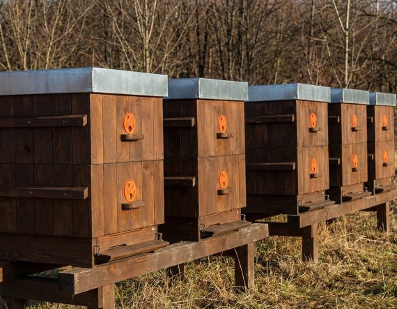 Jak zvládnout nezvykle teplý prosinec