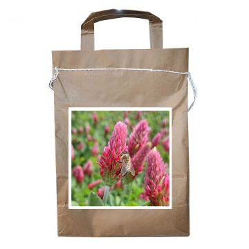 Jetel nachový KARDINÁL (inkarnát) - 1 kg